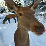 Na Zaciszu 펜션 자코파네