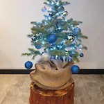 Na Zaciszu 펜션